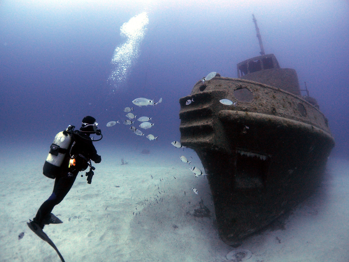 TRY DIVE & SHIPWRECK ADVENTURE